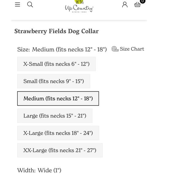 Up Country Strawberry Fields Dog Medium Collar Matching Lead Leash 2PC Set USA - Picture 12 of 14